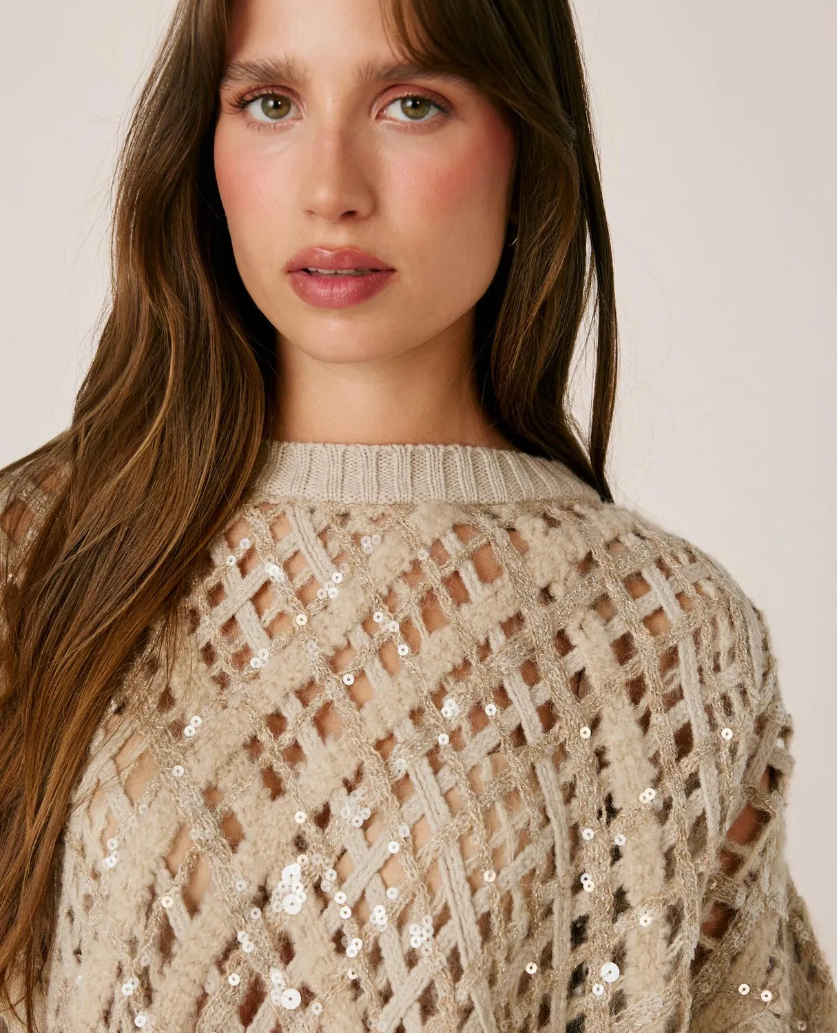 Alma en Pena I26CL0801 pull sequins maille marron laine