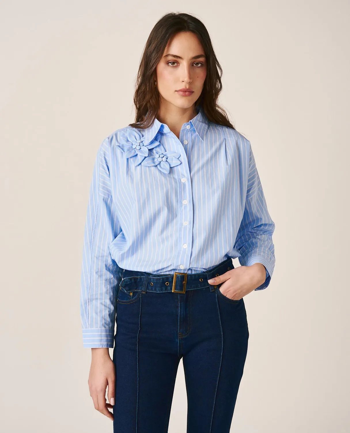 Alma en Pena I25CL0404 chemise rayée bleue fleurs